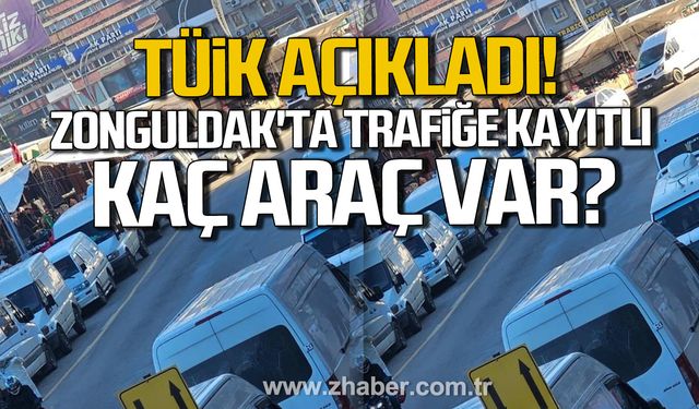 TÜİK açıkladı! Zonguldak'ta trafiğe kayıtlı kaç araç var?
