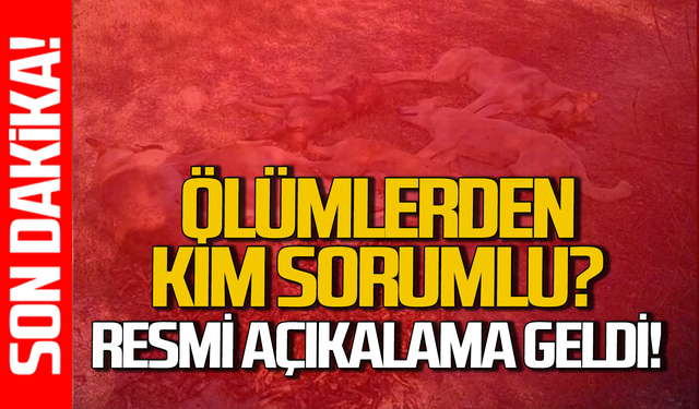 Zonguldak’ta ölümlerden kim sorumlu? Resmi açıklama geldi!