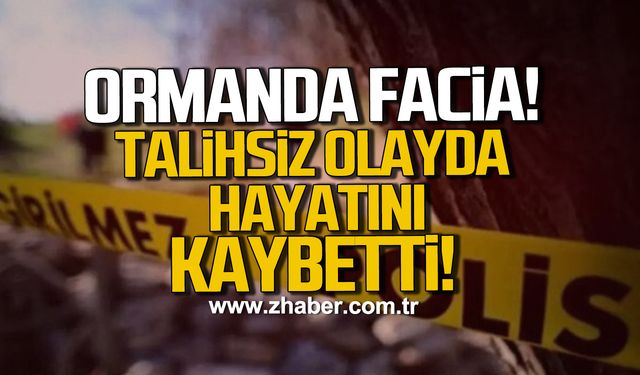 Bartın’da ağaç kesimi faciası: Cemal Kurt hayatını kaybetti!