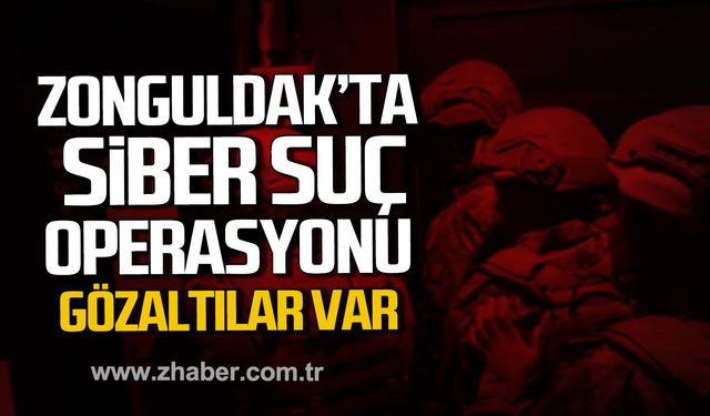 Zonguldak'ta siber suç operasyonu! Gözaltılar var