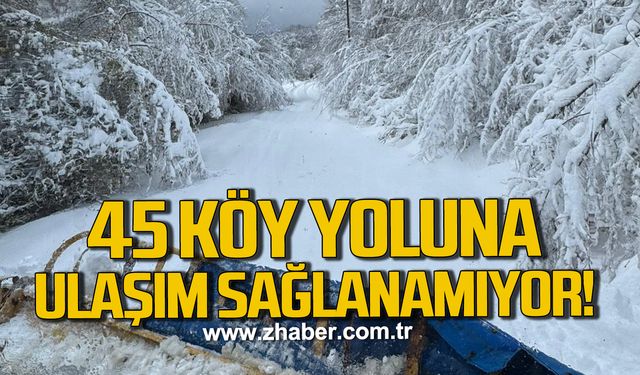 Devrek’te 45 köy yolu kar nedeniyle ulaşıma kapandı