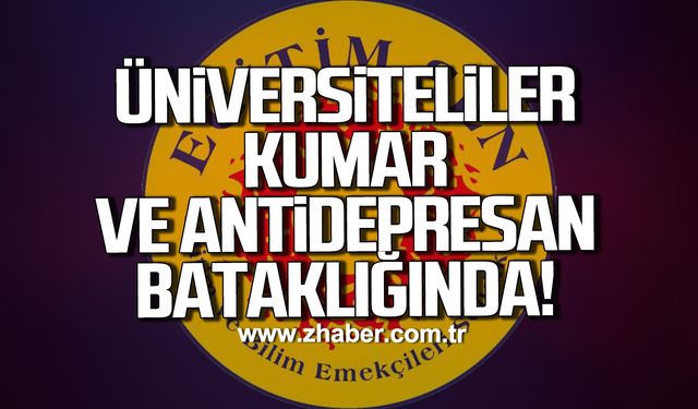 Eğitim Sen Zonguldak: 'Ekonomik Kriz Üniversite gençliğini pençesine aldı!'