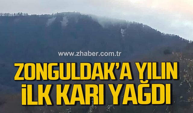Zonguldak Gümeli Beldesi'nde yılın ilk karı yağdı!