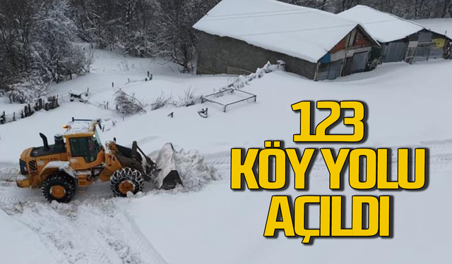 Kar nedeniyle kapanan 123 köy yolu açıldı