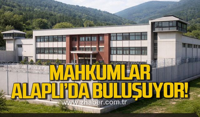 Alaplı’ya açık ceza infaz kurumu projesi yatırım programına alındı