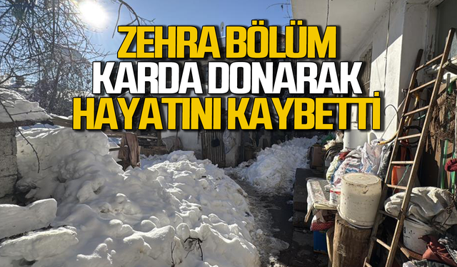 Zehra Bölüm karda donarak hayatını kaybetti!