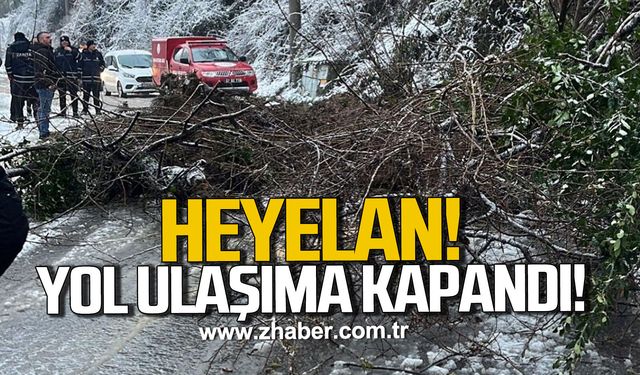 Kozlu'da heyelan. Yol ulaşıma kapandı