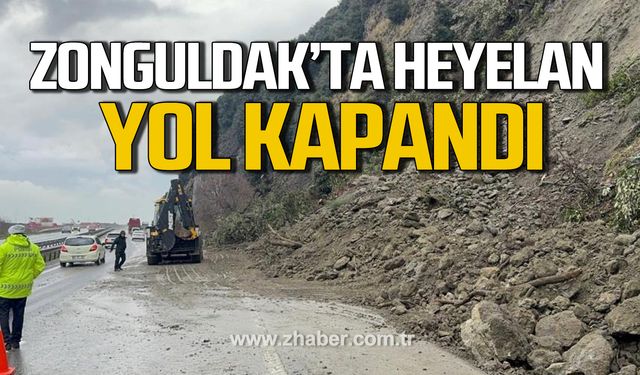 Zonguldak Kdz. Ereğli'de heyelan. Yol kapandı.