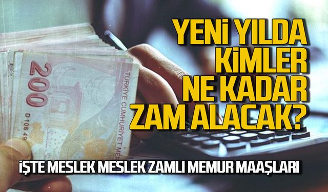 Yeni Yılda Kimler Ne Kadar Zam Alacak? İşte Meslek Meslek Zamlı Memur Maaşları