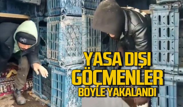 Yasa dışı göçmenler Düzce'de yakalandı