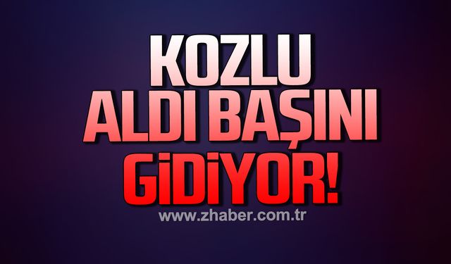 Kozlu aldı başını gidiyor!