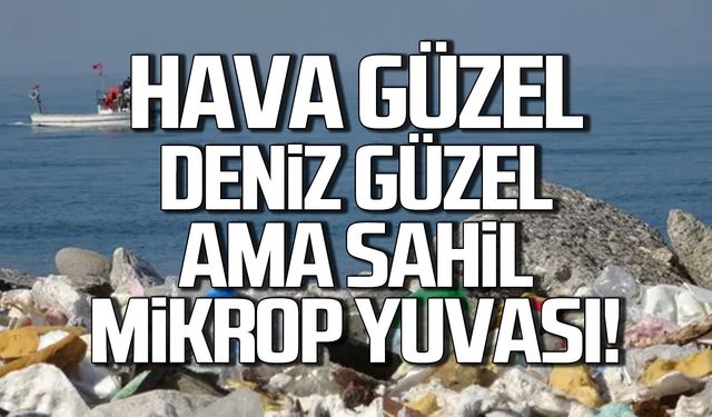 Deniz güzel, hava güzel ama Kozlu Sahili mikrop yuvası!