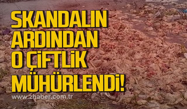 Alaplı’da tavuk çiftliğine kapatma cezası
