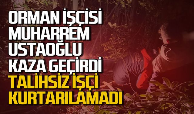 Orman işçisi Muharrem Ustaoğlu kaza sonucu hayatını kaybetti