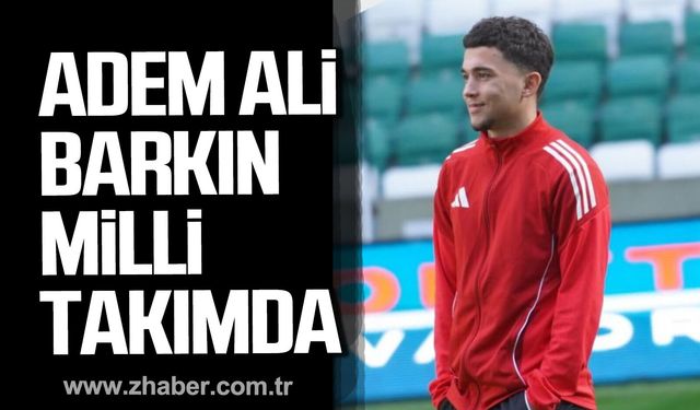 Adem Ali Barkın, Milli takımda.