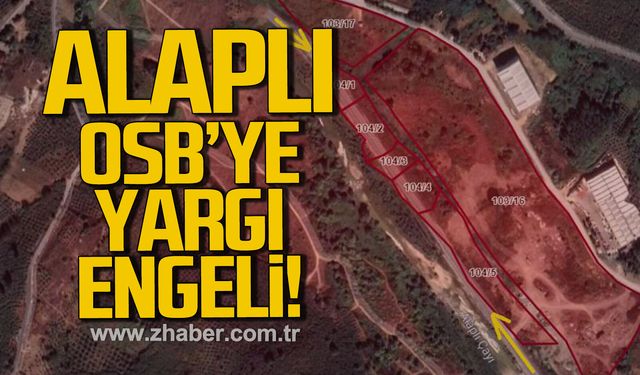 Alaplı çayı ve içme suyu kuyuları üzerine planlanan OSB için iptal kararı