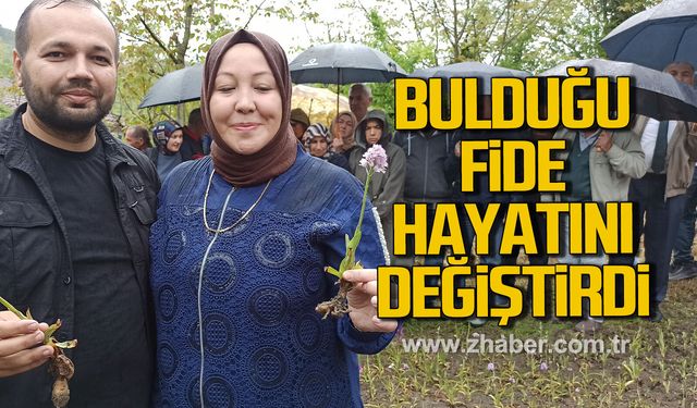 Devrek'te doğa yürüyüşünde bulduğu salep orkidesi hayatını değiştirdi