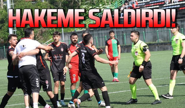Penaltı kararı sonrası deliye döndü, Hakemin üstüne saldırdı...