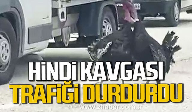 Karabük’te hindi kavgası trafiği durdurdu.