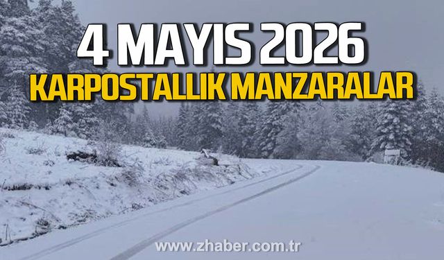 Karabük'te kar manzarası kartpostallık manzaralar oluşturdu.