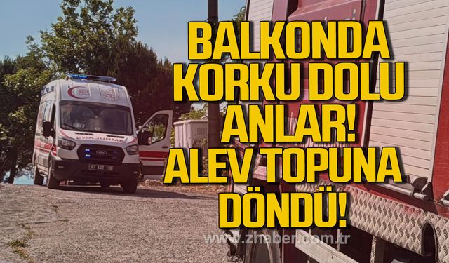 Alaplı’da alev topuna dönen piknik tüpü korkuttu