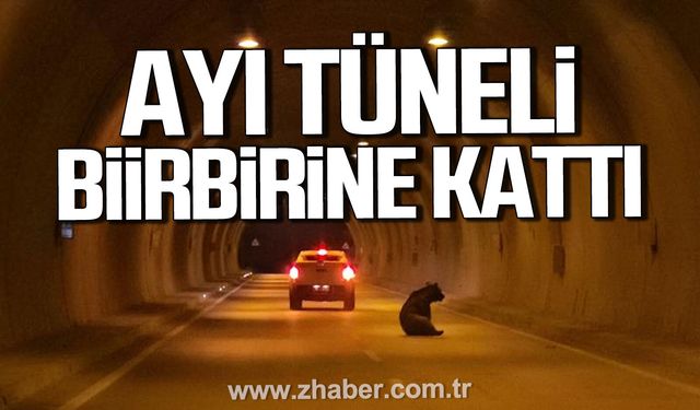 Karabük'te ayı tüneli birbirine kattı.