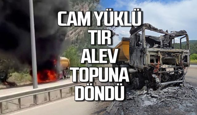 Cam yüklü TIR alev topuna döndü