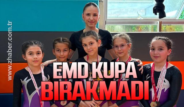 EMD’den İl Şampiyonasında büyük başarı
