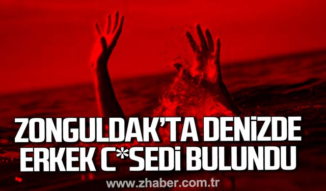 Zonguldak'ta denizde erkek c*sedi bulundu.