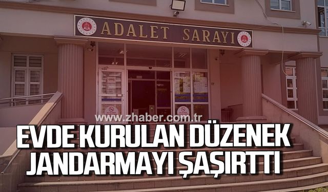 Alaplı’da evde kenevir yetiştirme operasyonu