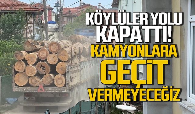 Tomruk kamyonlarına köylü engeli... "Geçit vermeyeceğiz"