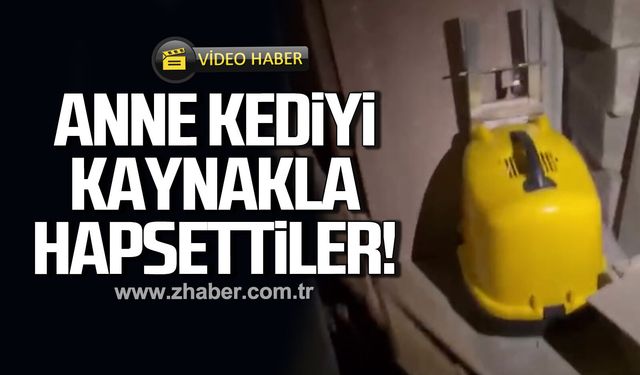Anne kediyi kaynakla hapsettiler