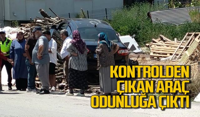 Otomobil kontrolü kaybetti odun yığınına çarptı: Yaralılar var