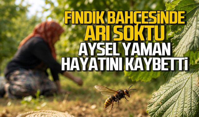 Fındık bahçesinde arı soktu, Aysel Yaman hayatını kaybetti