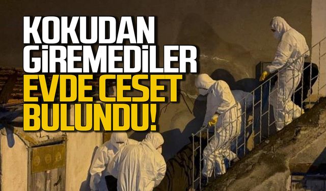 Evde ceset bulundu... Polis kokudan giremedi