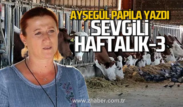 Sevgili haftalık 3
