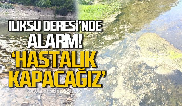 Ilıksu Deresi'nde alarm "Hastalık kapacağız”