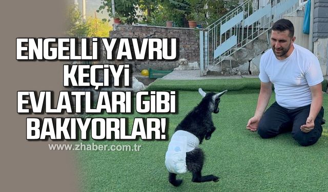 Doğuştan engelli yavru keçiyi sahiplenip evlatları gibi büyütüyorlar