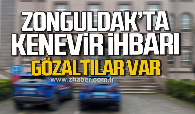 Zonguldak'ta kenevir ihbarı. Gözaltılar var.