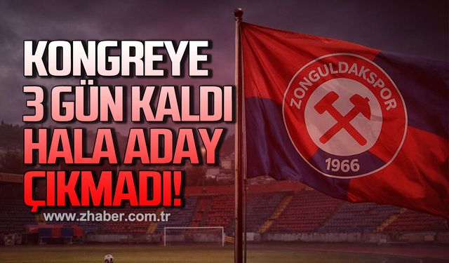 Kongreye 3 gün kaldı hala aday çıkmadı!