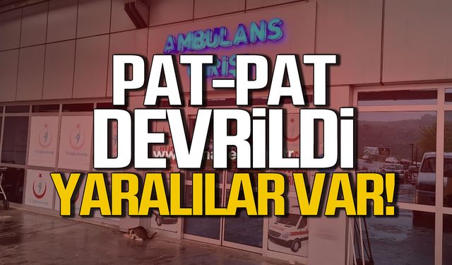 Alaplı'da 'pat-pat' kazası: 2 yaralı