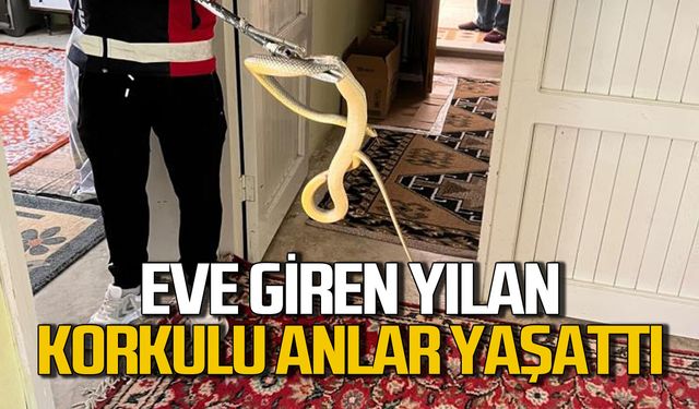 Eve giren yılan aileye korku dolu anlar yaşattı
