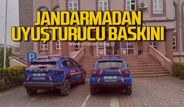 Alaplı’da uyuşturucu operasyonunda 7 kök kenevir ve esrar ele geçirildi