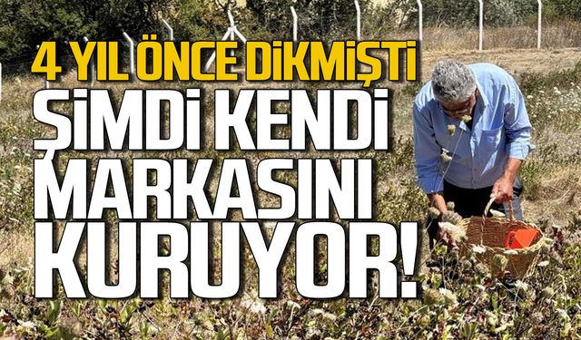 4 yıl önce dikmişti... Şimdi kendi markasını kuruyor