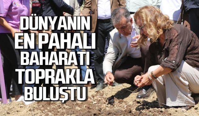 Dünyanın en pahalı bahatarı toprakla buluştu