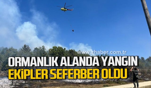 Karabük'te ormanlık alanda yangın. Ekipler seferber oldu.