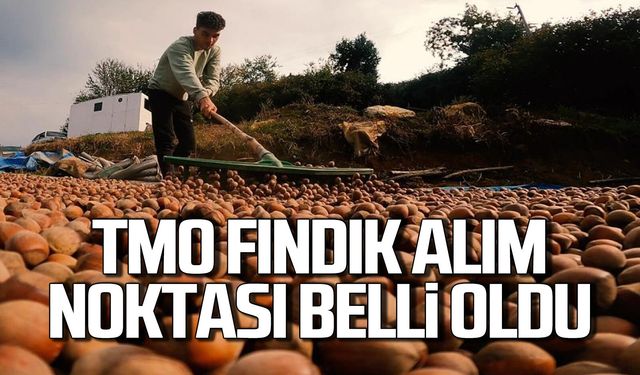 Karadeniz Ereğli’de TMO fındık alım noktası belli oldu