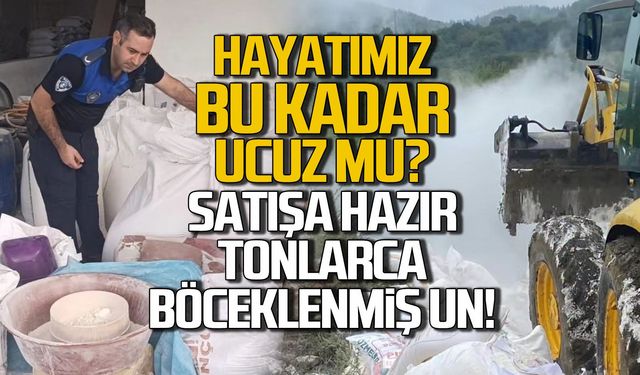 Hayatımız bu kadar ucuz mu? Satışa hazır tonlarca böceklenmiş un!