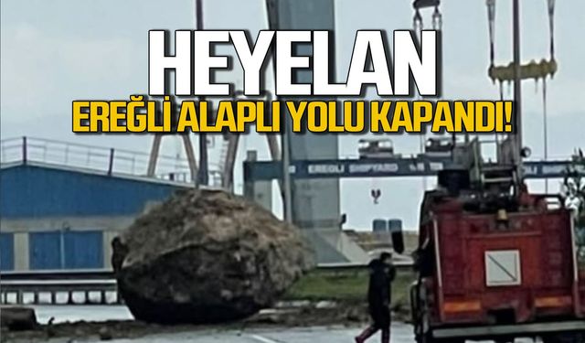 Ereğli Alaplı yolunda dev kaya yola düştü... Faciadan dönüldü