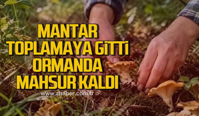 Mantar toplamaya gitti, ormanda mahsur kaldı!